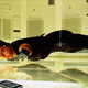 Image for article titled $3 Million of iPhones Stolen in Belgium Heist